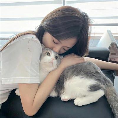 抱得美人归